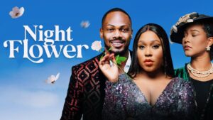 Read more about the article Night Flower (2024) – Nollywood Movie