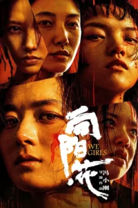 Read more about the article We Girls (2025) (Chinese)