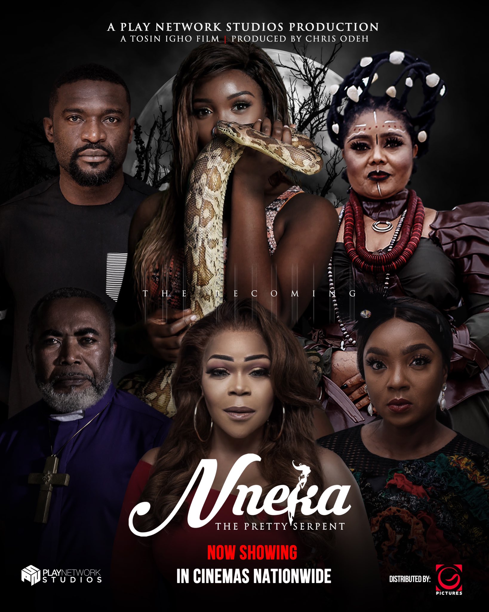 Read more about the article Nneka the Pretty Serpent (2020)