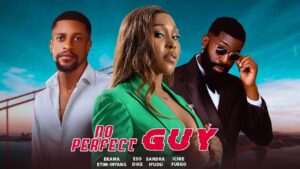 Read more about the article No Perfect Guy (2026) – Nollywood Movie